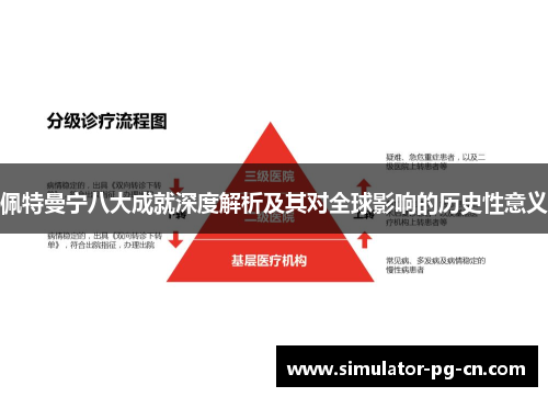 佩特曼宁八大成就深度解析及其对全球影响的历史性意义