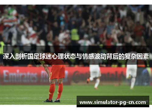 深入剖析国足球迷心理状态与情感波动背后的复杂因素