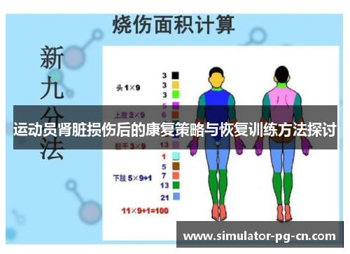 运动员肾脏损伤后的康复策略与恢复训练方法探讨