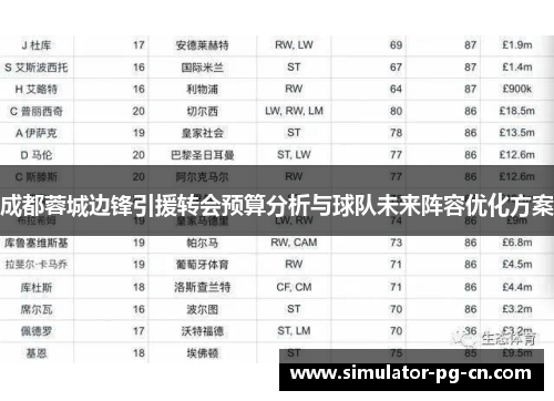 成都蓉城边锋引援转会预算分析与球队未来阵容优化方案