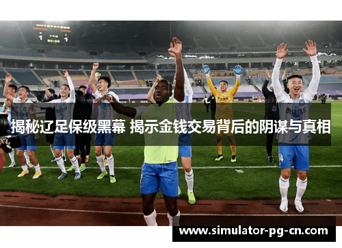 揭秘辽足保级黑幕 揭示金钱交易背后的阴谋与真相